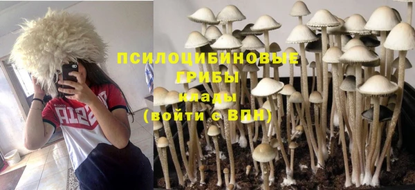 не бодяженный Балахна