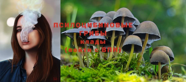 спайс Балабаново