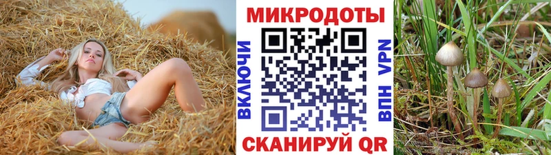 где продают наркотики Грязовец Галлюциногенные грибы Cubensis